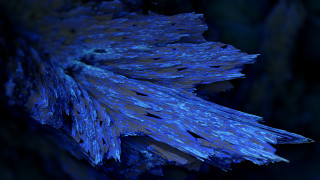 Blue flower black background blue 2 - octane renderer free wallpaper