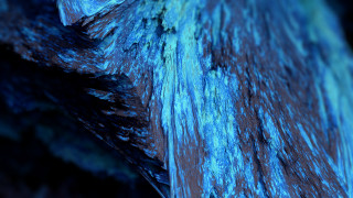 Blue black bird wing feathers - octane renderer free wallpaper