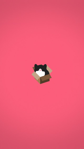 Box cat pink background black - a minimalist painting free wallpaper