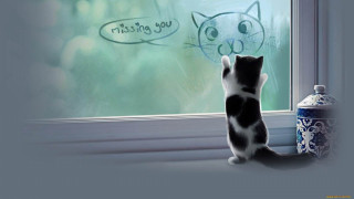 Cat looking out window drawing 3 - a drawing of a cat free wallpaper