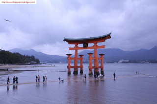 Beach orange gate group people - a beach near the ocean free wallpaper
