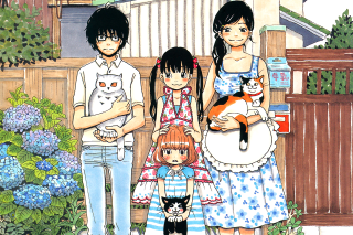 Family three house cat shoulders - a family free wallpaper