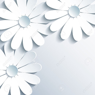 White paper flower background minimalism - text free wallpaper
