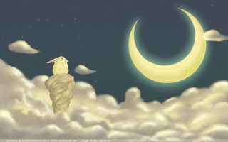 Bird rock moon sky clouds - moon free wallpaper