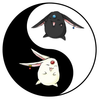 Black white yin yang rabbit - symmetrical free wallpaper