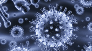 Cell phone blue background design - biopunk free wallpaper