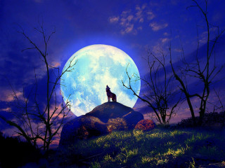 Wolf hill fullmoon trees foreground - full moon free wallpaper