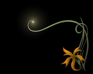 Flower long stem light background - firefly free wallpaper
