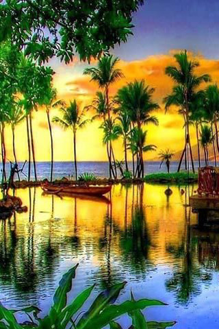 Tropical sunset boats water palm - a colorful sky free wallpaper