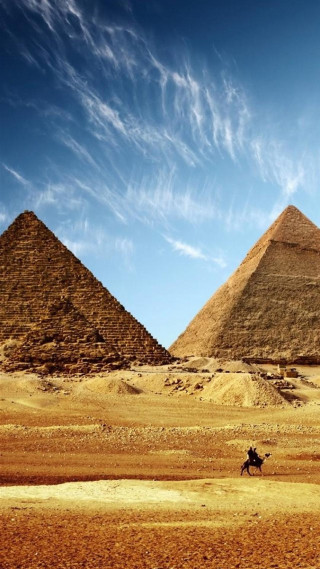 Camel pyramids giza desert sand - andries stock free wallpaper