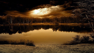 Lake water trees night cloudy - water and trees free wallpaper