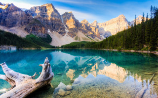 Lake mountains trees fallen log - fallen free wallpaper