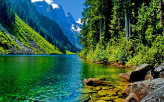 Mountain lake trees rocks background - a mountain range in the background free wallpaper