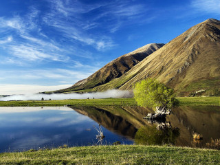 Lake mountains green field tree 3 - a tree in the foreground free wallpaper