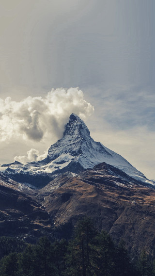 Mountain snow covered peak trees - a detailed matte painting free wallpaper