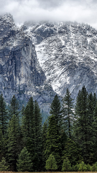 Mountain forest trees cloudy sky - cloudy free wallpaper