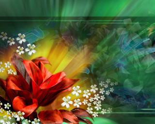 Red flower white flowers green 2 - white flower free wallpaper