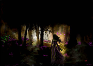 Woman purple dress forest night - the ground and trees free wallpaper