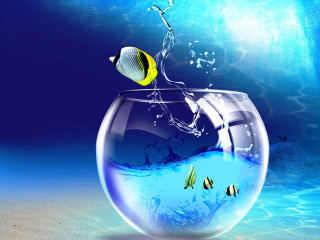Fish jumping bowl ocean water - surrealism free wallpaper