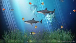 Sharks swimming blue ocean fish 3 - pop surrealism free wallpaper