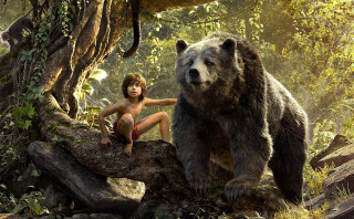 Woman bear tree jungle man - a man in the background free wallpaper