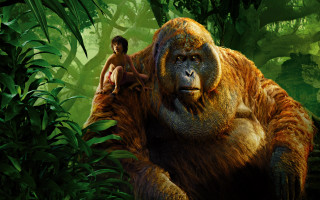 Man woman brown gorilla jungle - alex petruk ape free wallpaper