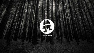 Forest minnesota dog sign album - epic composition free wallpaper