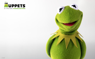 Stuffed animal big eyes smile - animal free wallpaper