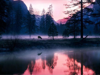 Horse lake sunset mountain background - the middle of a lake free wallpaper