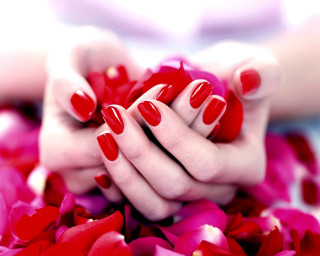 Woman hands red white manicure - rich free wallpaper