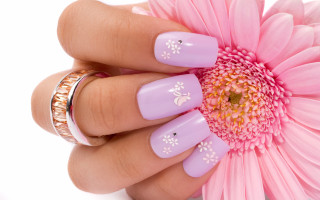 Womans hand pink flower ring - soft free wallpaper
