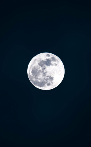 Full moon dark sky tree - a full moon free wallpaper