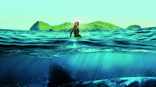 Woman wetsuit surfboard ocean mountain - a surfboard in the ocean free wallpaper