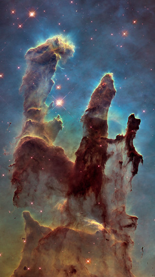 Star formation dog sky starry - the side of it free wallpaper