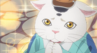 White cat hat blue shirt - its chest free wallpaper