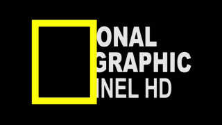 Black yellow logo national graphic - national free wallpaper