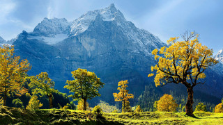 Mountain range trees grass clouds - tree and grass free wallpaper