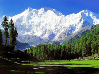 Mountain range green meadow forest - a mountain range free wallpaper