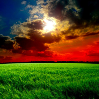 Green grass cloudy sky sunshine 2 - the sun free wallpaper