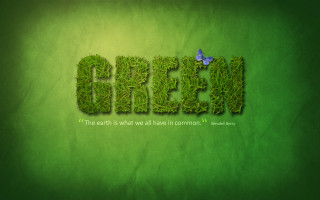 Green grass butterfly background nature - a blue butterfly free wallpaper