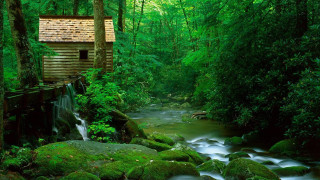 Small cabin forest stream wooden - a stream free wallpaper