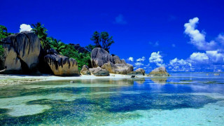 Beach rocks clear water palm - rock free wallpaper