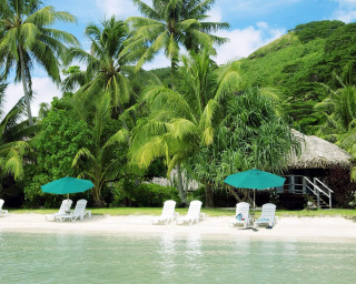 Beach lawn chairs umbrellas hut - beautiful free wallpaper for desktop