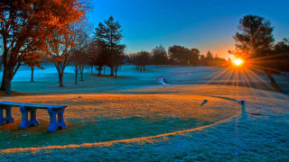 Bench field sunset trees trail - sunrise free wallpaper
