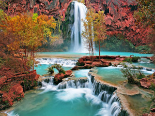 Waterfall trees foreground background nature - a waterfall in the background and trees free wallpaper