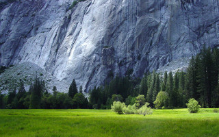 Mountain forest field person walking - a large mountain free wallpaper