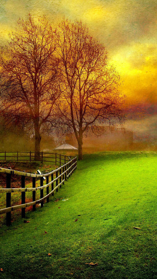 Fence trees field sunset foggy - beautiful landscape free wallpaper