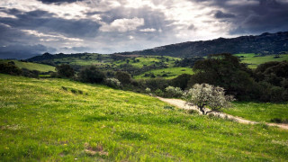 Grassy field dirt path tree - a mountain in the distance free wallpaper
