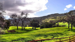 Lush green hillside trees fence 2 - a grassy field in the foreground free wallpaper