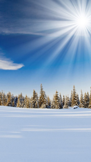 Skiing snow field sunburst forest - light and space free wallpaper